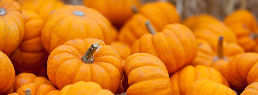 Professional pumpkin carver shares tips